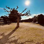 艾尔兰科索住宿加早餐旅馆 住宿加早餐酒店 4*